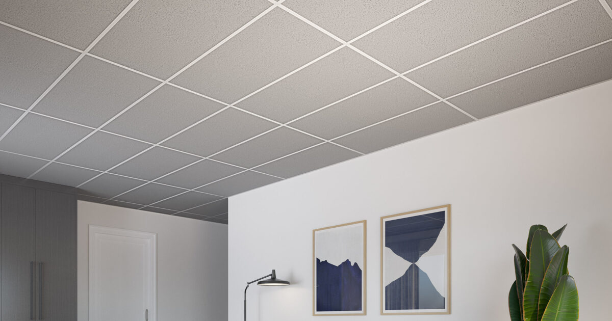 CEILING ACCESSORY